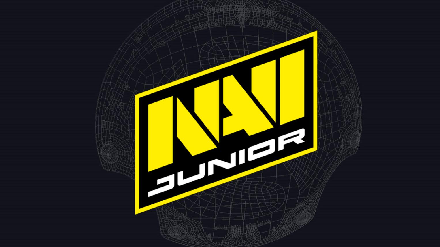 Navi логотип для стим фото 111