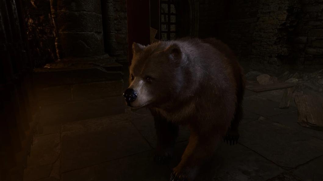 Медведь из Baldur's Gate 3 получил свою категорию секс-спидрана. Охота на косолапого