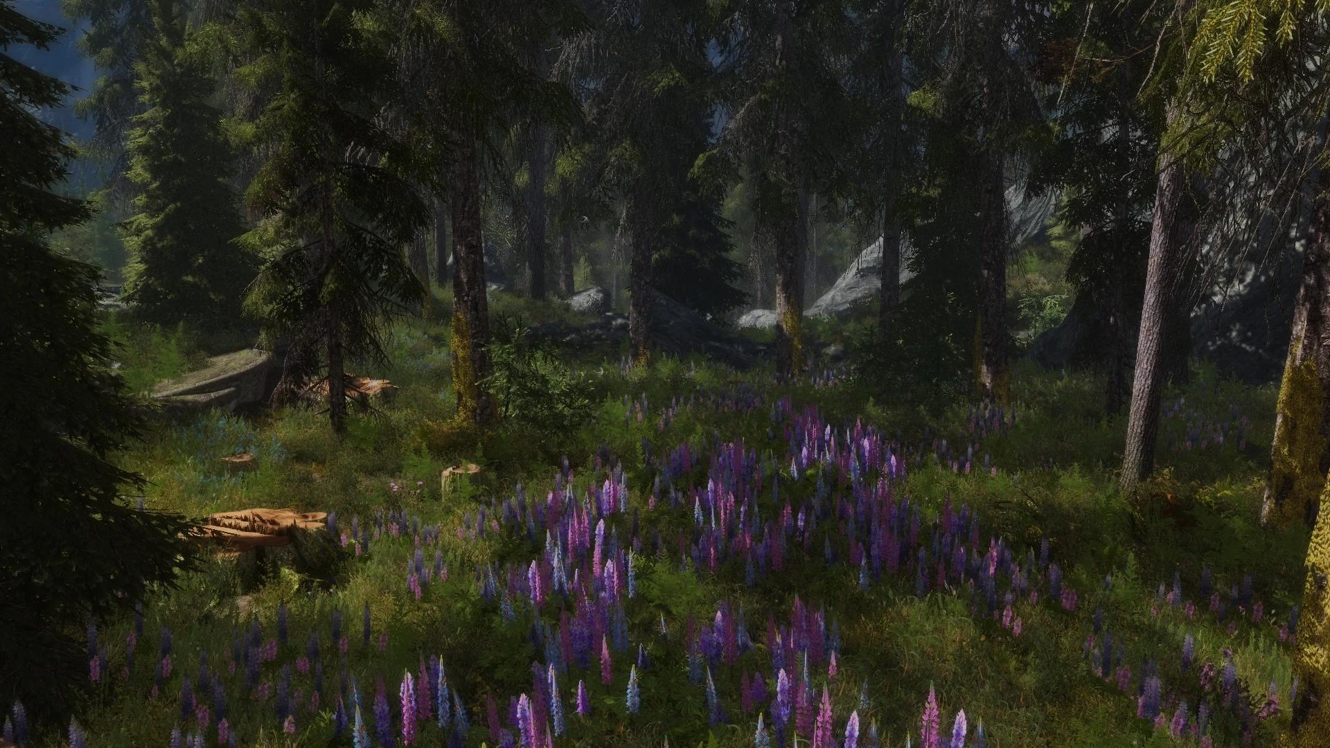 Мод Skyrim Flora Overhaul SE для The Elder Scrolls 5: Skyrim | VK Play