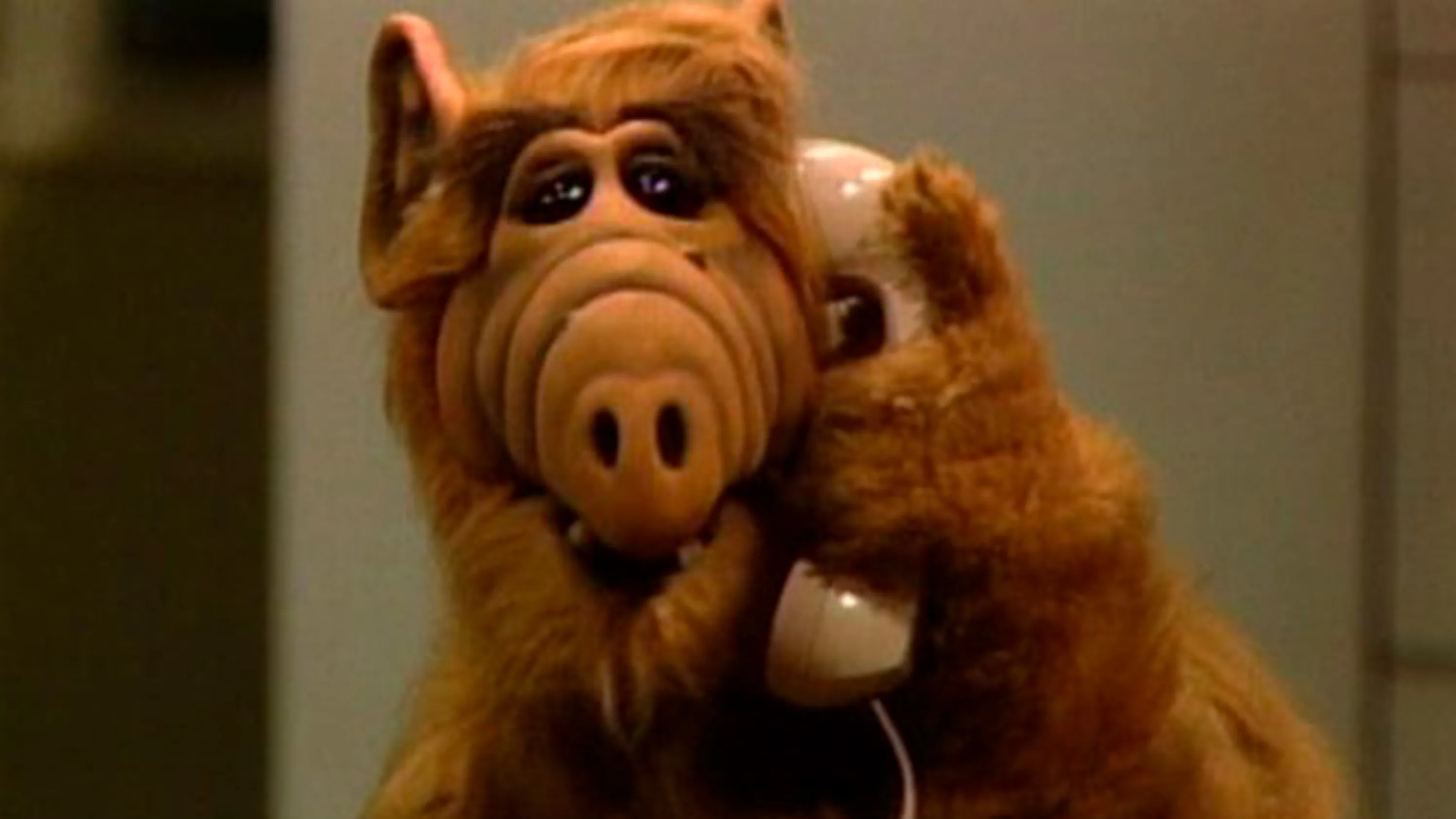 Alf (Альф), 1986–1990. Альф сериал. Альф 1990. Сериал Альф 1 серия.