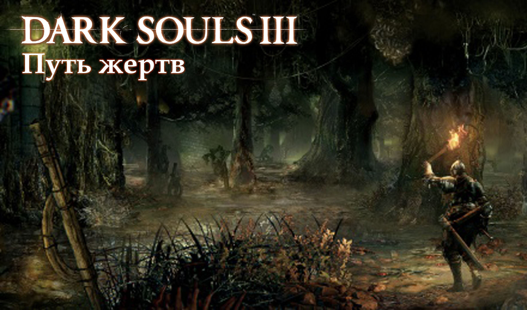 Прохождение Dark Souls 3: Путь жертв (все секреты) | VK Play