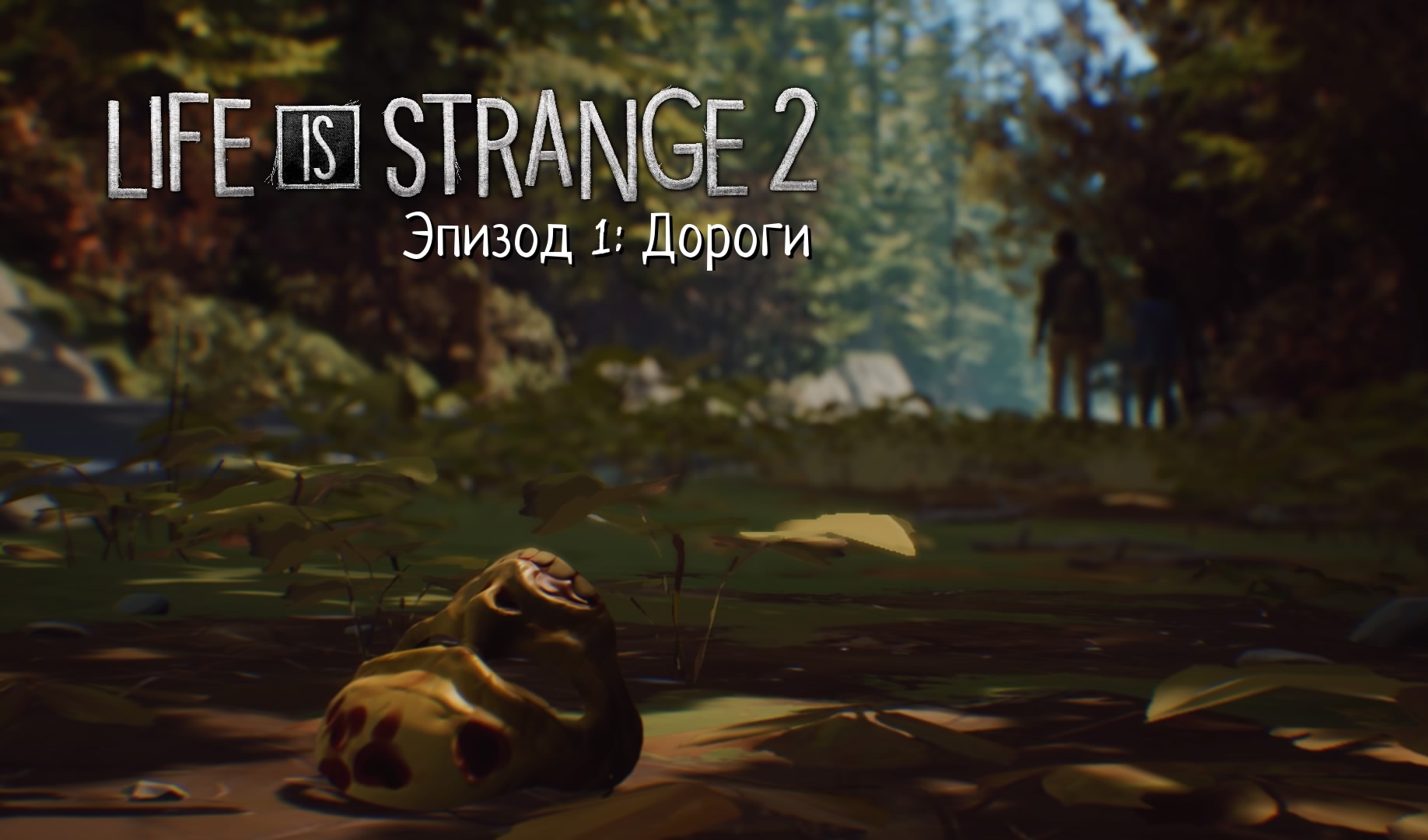 Прохождение Life is Strange 2 — Эпизод 1: Дороги | VK Play