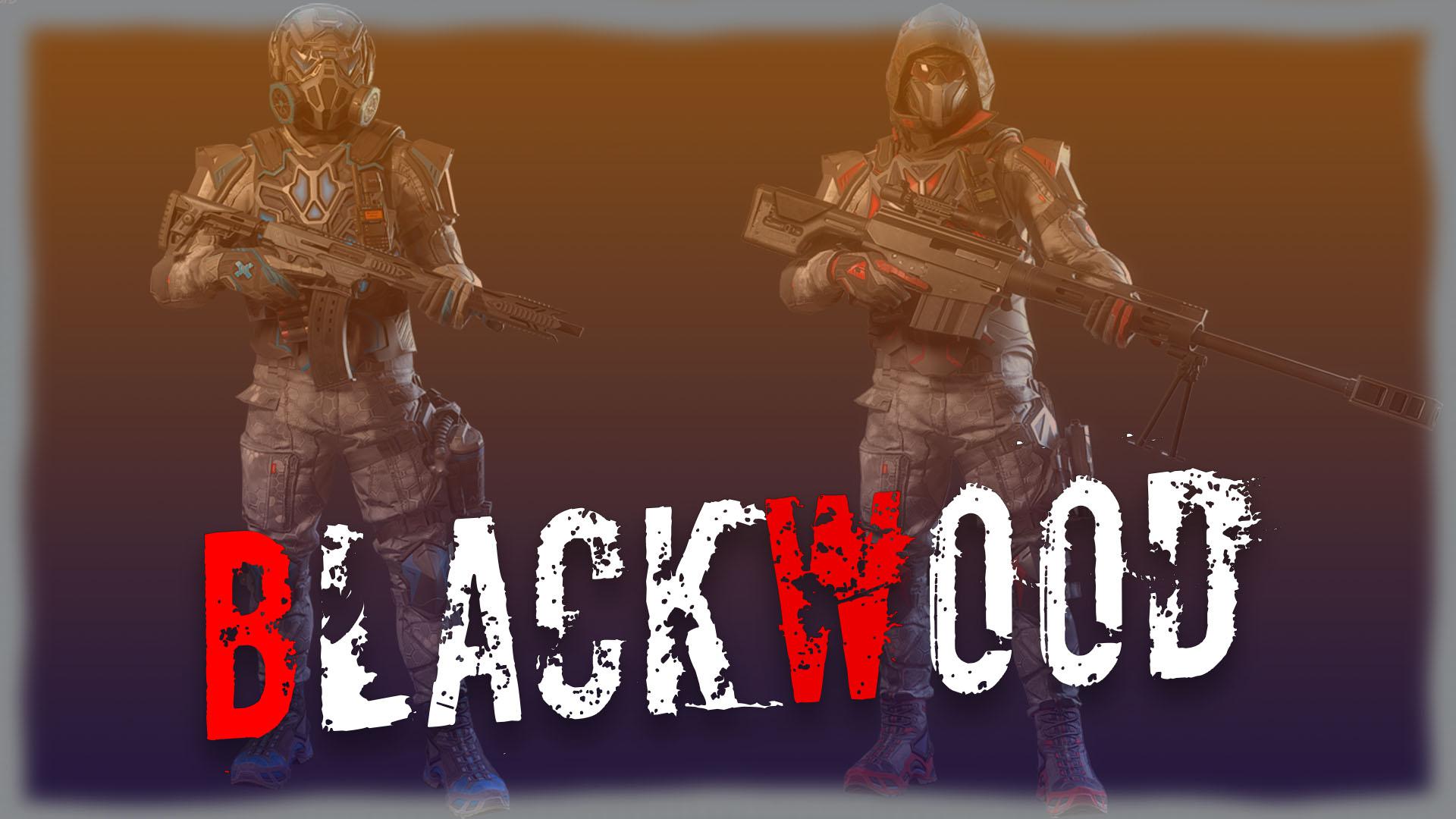 Warface: обзор снаряжения Blackwood | VK Play