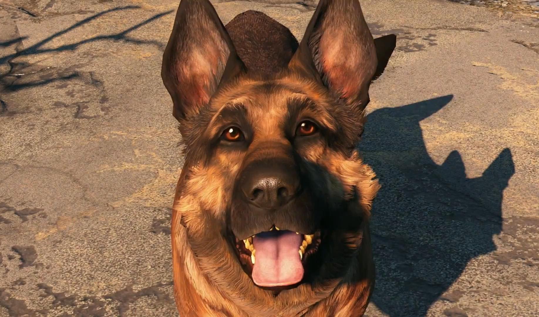 Как в Fallout 4 лечить собаку?