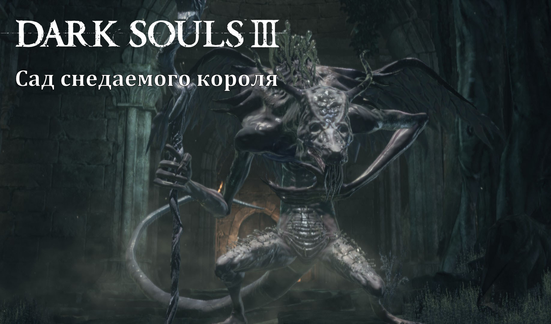 Прохождение Dark Souls 3: Сад снедаемого короля (все секреты) | VK Play