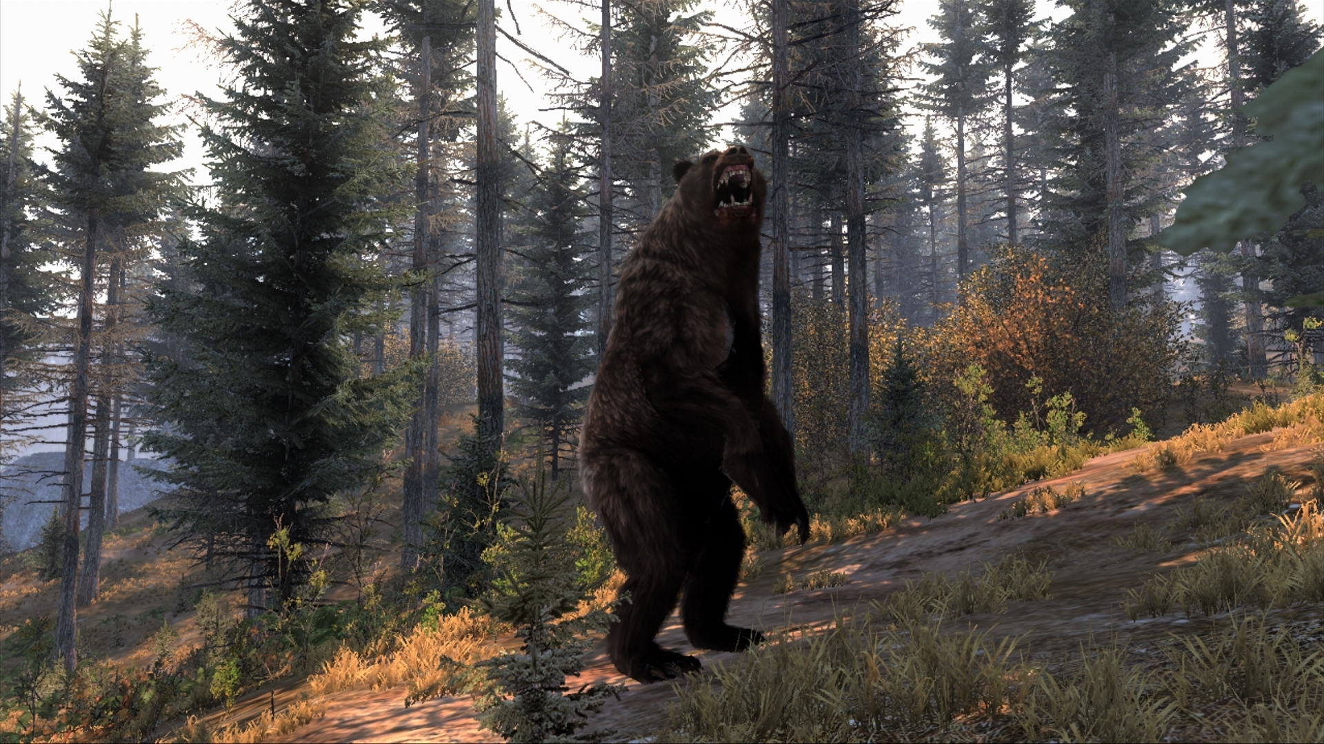 Медведя поиграть. Cabela's big Hunter. Cabela's big game Hunter: Pro hunts. Кабелас Биг гейм Хантер. Медведь из игры.