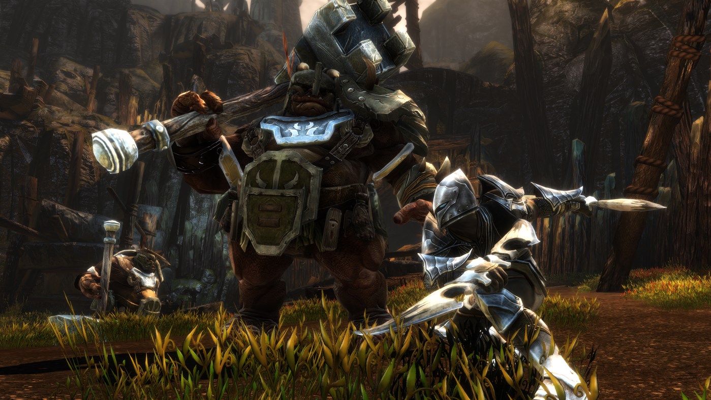 Kingdoms of Amalur: Re-Reckoning — гайды, новости, статьи, обзоры,  трейлеры, секреты Kingdoms of Amalur: Re-Reckoning | VK Play