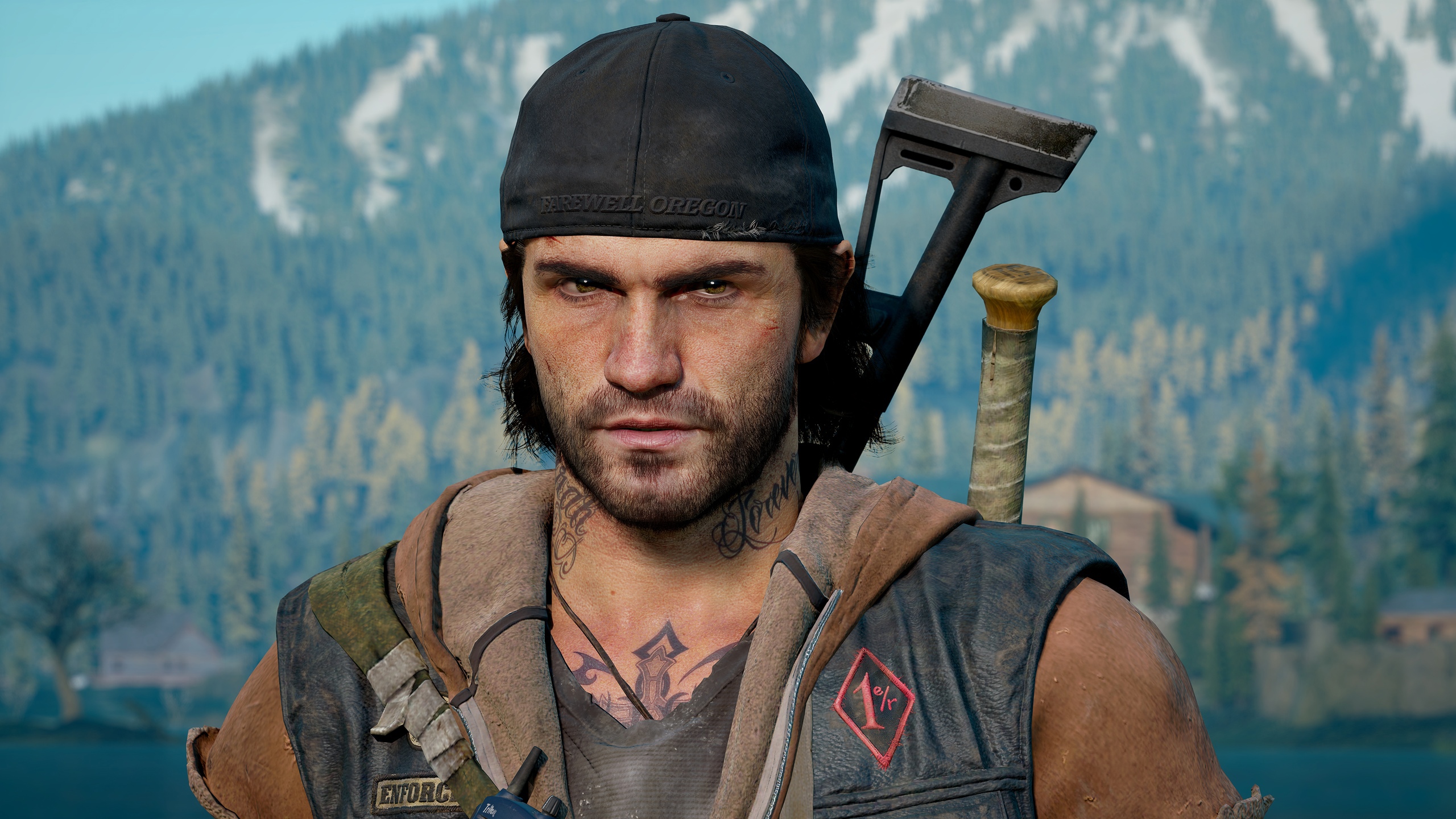 Days gone ачивки стим фото 92