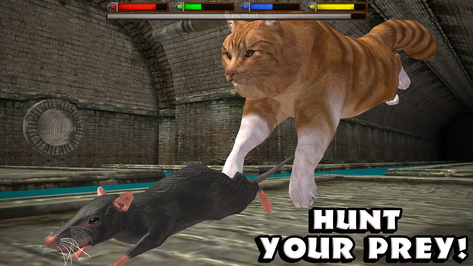 Ultimate Cat Simulator — гайды, новости, статьи, обзоры, трейлеры, секреты  Ultimate Cat Simulator | VK Play