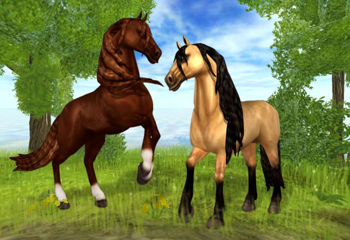 Star Stable — гайды, новости, статьи, обзоры, трейлеры, секреты Star Stable  | VK Play