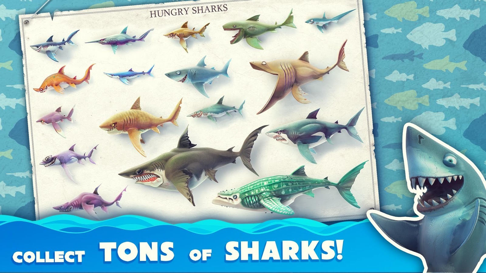 Hungry Shark World — гайды, новости, статьи, обзоры, трейлеры, секреты Hungry  Shark World | VK Play