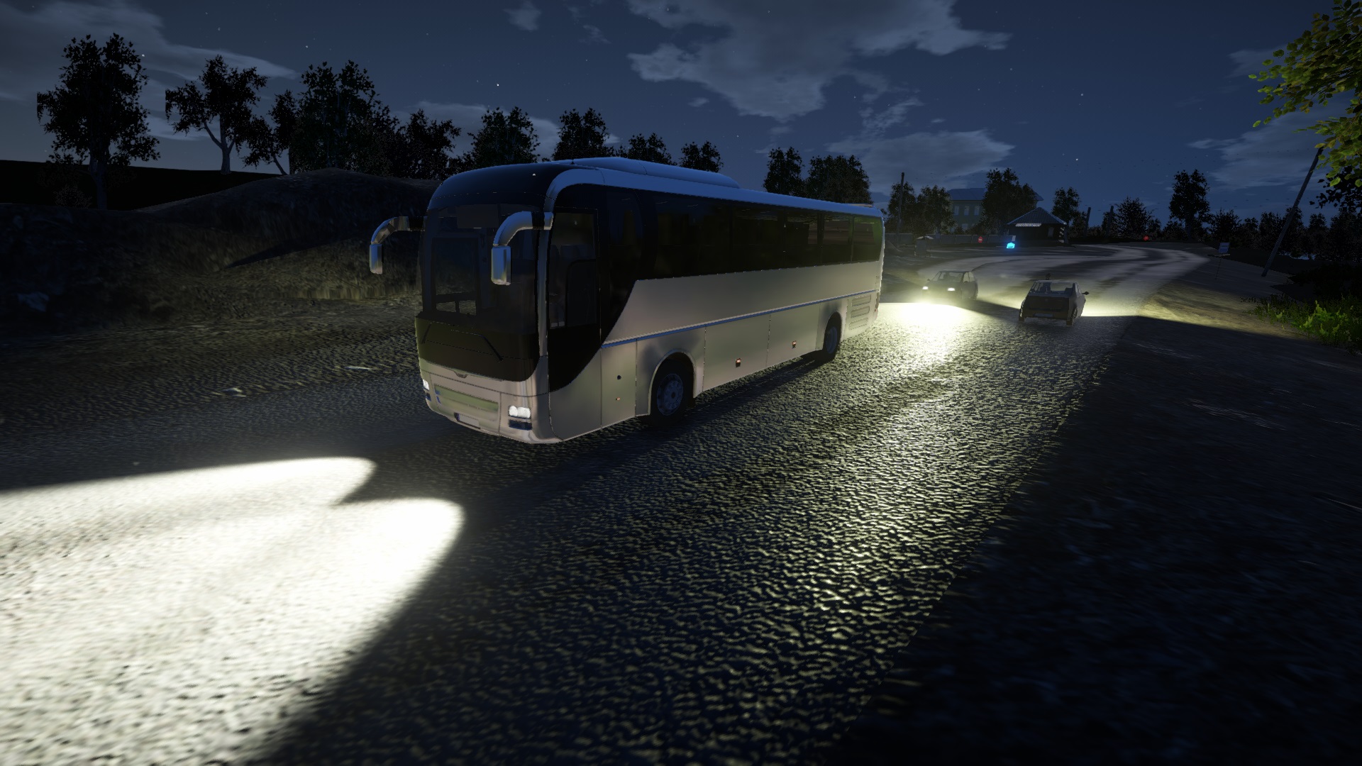 Скриншоты Bus Driver Simulator 2019 — картинки, арты, обои | VK Play