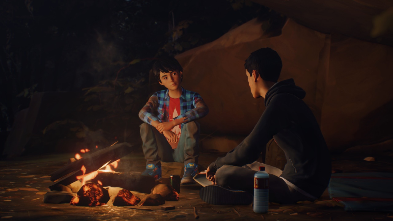 Life is Strange 2 — гайды, новости, статьи, обзоры, трейлеры, секреты Life  is Strange 2 | VK Play