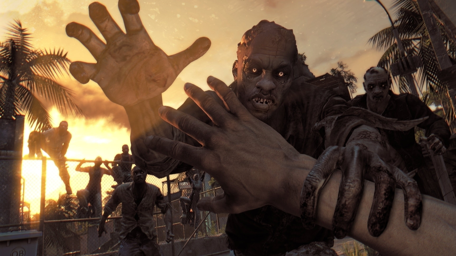 Скин dying light