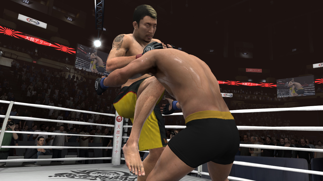 EA Sports MMA — гайды, новости, статьи, обзоры, трейлеры, секреты EA Sports  MMA | VK Play