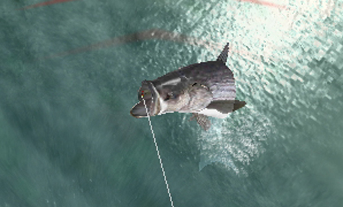 Angler's Club: Ultimate Bass Fishing 3D — гайды, новости, статьи, обзоры,  трейлеры, секреты Angler's Club: Ultimate Bass Fishing 3D