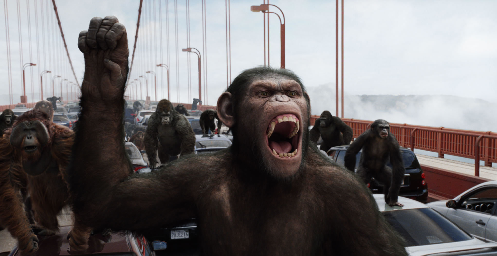 Авторы игры Planet of the Apes подали в суд на создателей кино