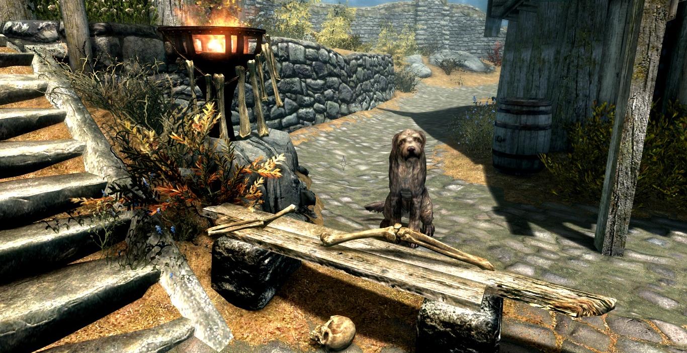 Мод добавил в TES Skyrim собаку. Она готова продать вам кости