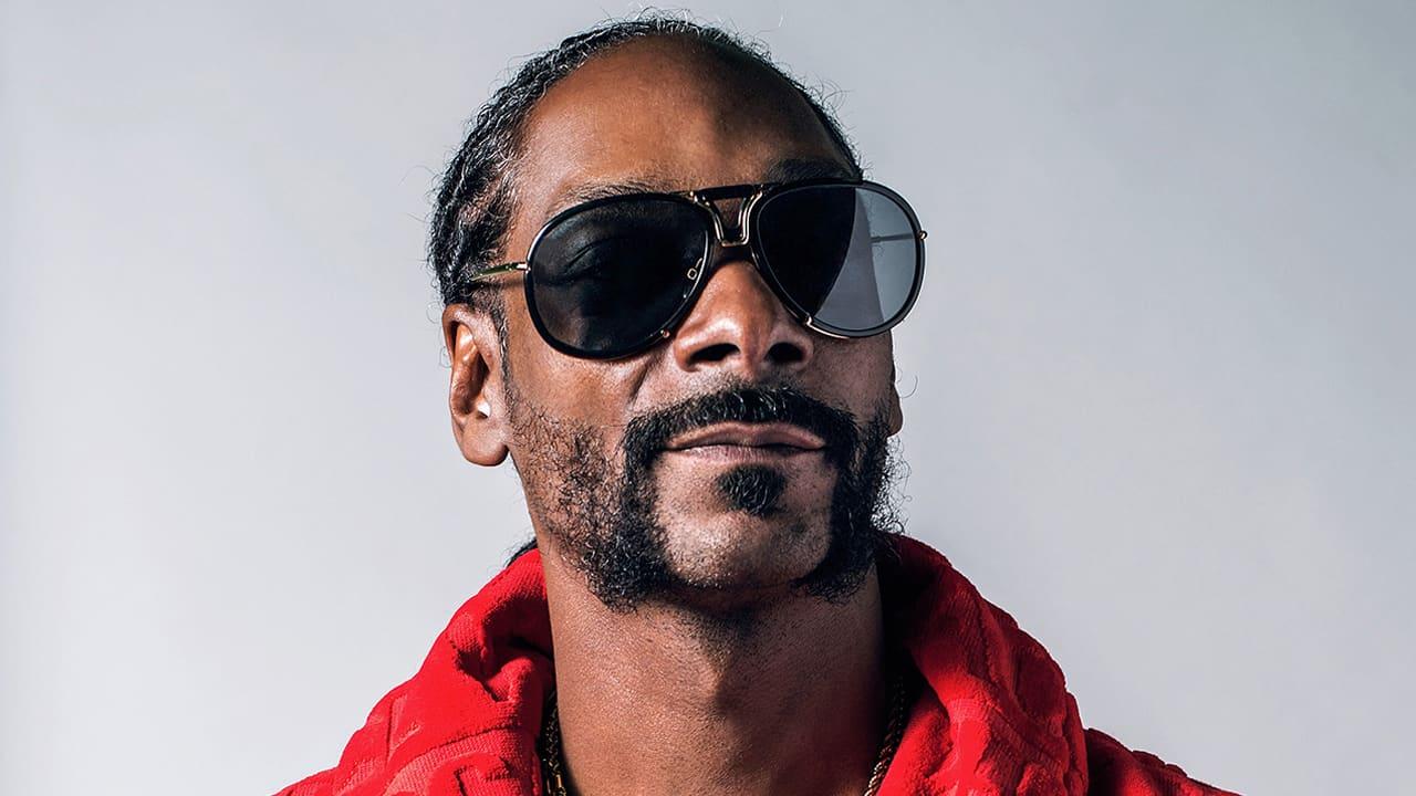 Рэпер Snoop Dogg проиграл матч на стриме и ушел, не остановив трансляцию |  VK Play