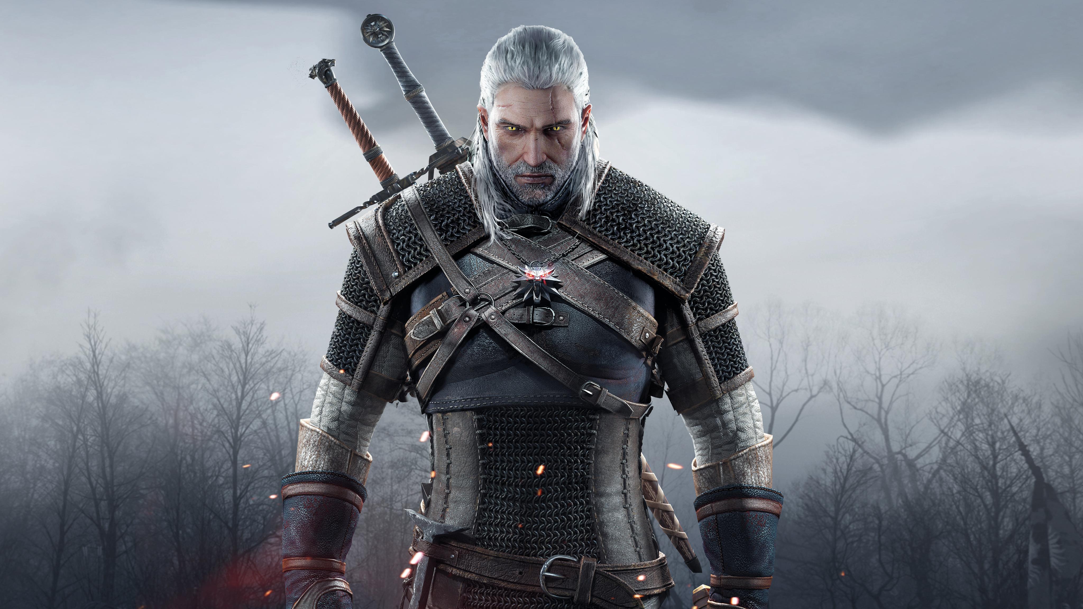 The witcher video game series