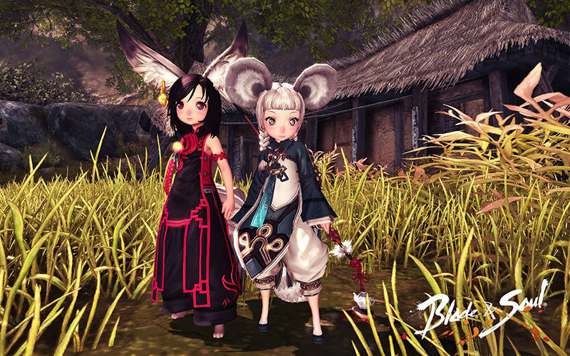 Blade and soul экипировка фото 18