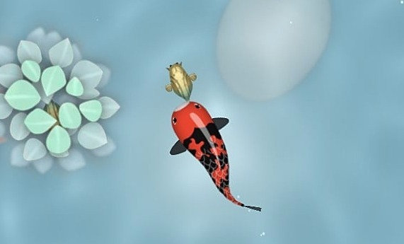 My koi игра. Игра zen koi. Зен кои 2 рыбки игра. Успокаивающие игры. Koi игра.