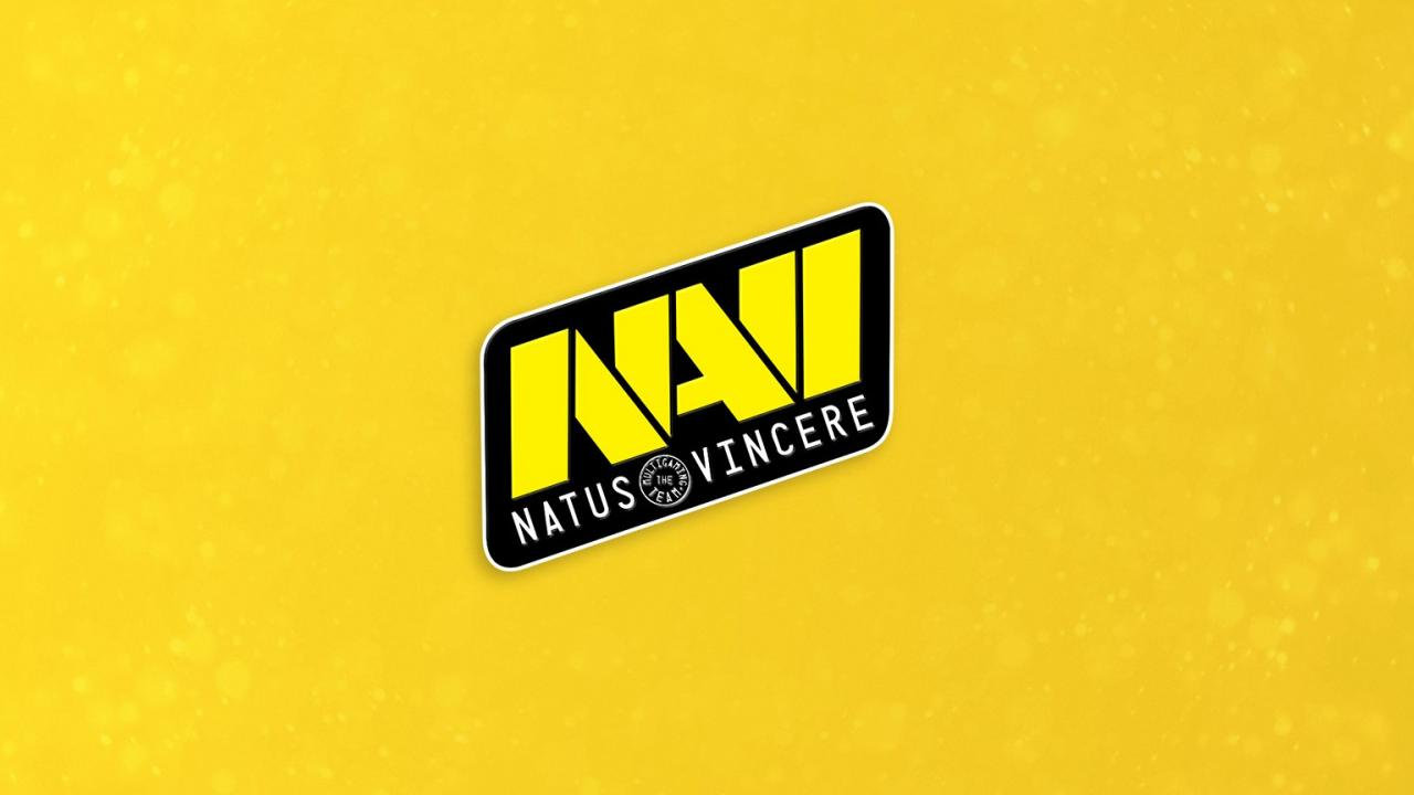 Natus vincere dota состав фото 77