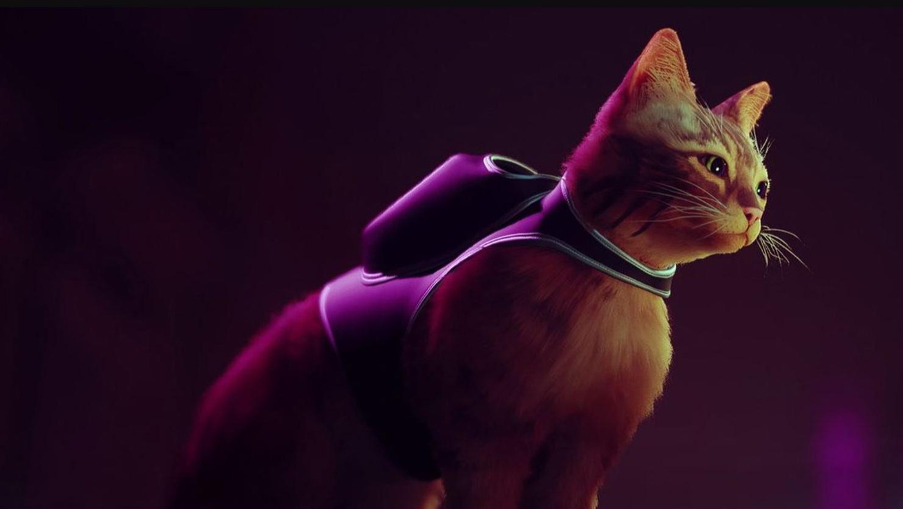 Игра stray про кота