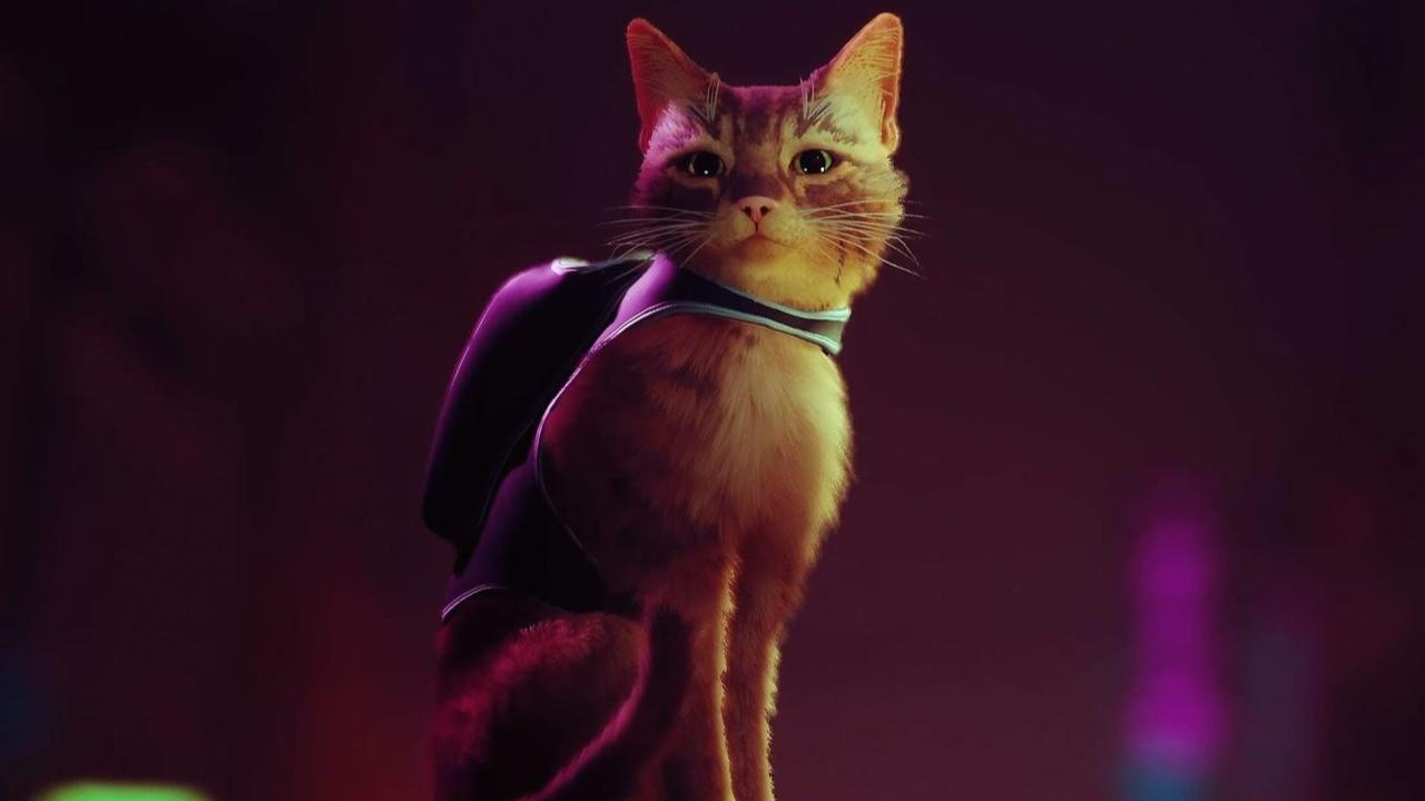 Стрей игра про кота