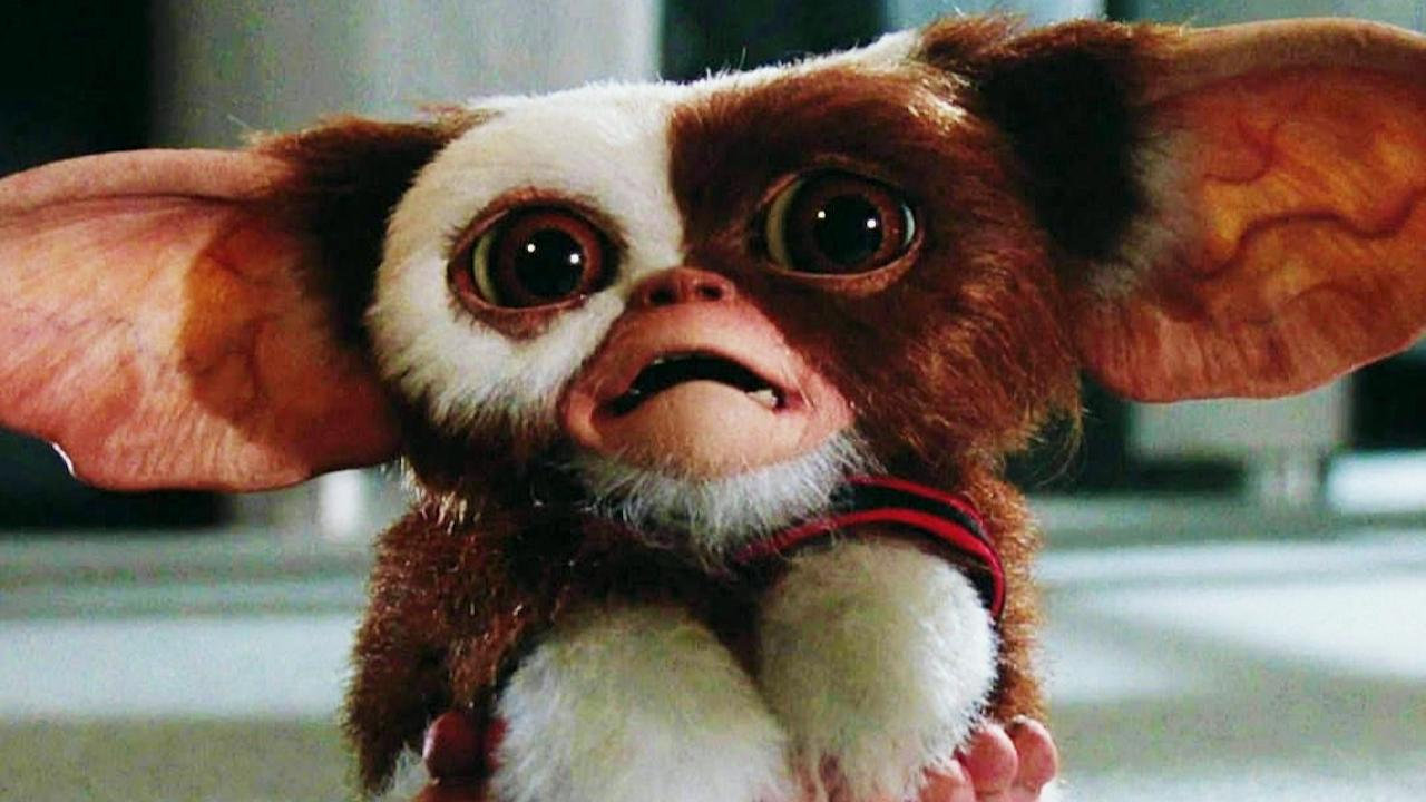Pin on Gremlins Fantasy art dolls, Gremlins gizmo, All horror movies