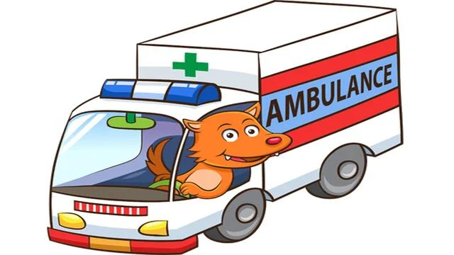Cartoon Ambulance Puzzle is an online game with no registration required Cartoon  Ambulance Puzzle VK Play